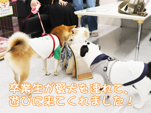卒業生が愛犬と遊びに来てくれました♪